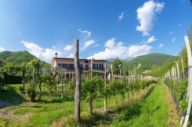 Apartment Le Perine Valdobbiadene